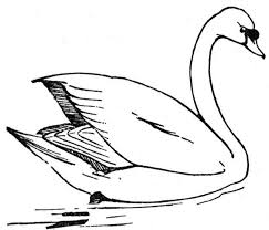 Free Swan Coloring Pages Coloring Pages Colouring Pages Animal Coloring Pages