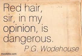 Red Head Quotes Funny Trendy Hair Quotes Funny Messy Ideas trendy hair quotes funny messy ideas