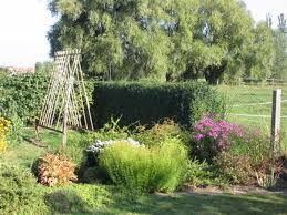 Vereine Im Stadtverband Dresdner Gartenfreunde