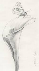 Calla Lily Butterfly Original Pencil Drawing Etsy Lilies Drawing Realistic Drawings Flower Drawing
