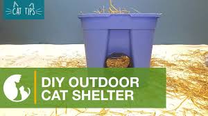 Check spelling or type a new query. How To Build An Outdoor Shelter Alley Cat Allies