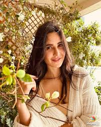 Katrina Kaif Photos - Malayalam Actress photos, images, gallery, stills and  clips - IndiaGlitz.com