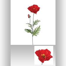 5pcs artificial flower bouquets orange red color artificial corn poppy flowers bouquets&papaver rhoeas&coquelicot bunches. Coquelicot Artificiel 70 Cm
