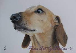 Some of the technologies we use are necessary for critical functions like security and site integrity, account authentication, security and privacy preferences, internal site usage and maintenance data, and to make the site work correctly for browsing and transactions. Fine Art By Claire Custom Pet Portraits Adopt A Pet