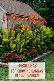 Garden Landscape Design Dwg About Garden Landscaping And Design Via Front Yard Rock Garden Landscaping I Longfield Gardens Tropical Landscaping Diy Landscaping