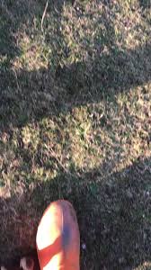 nofenderfullsender #trialsbike #trials #motocross #trialbike #dirtbik...