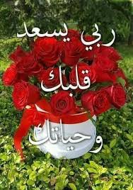 Pin Di Om Mohammed Su منوعات Buongiorno