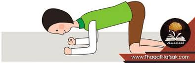 تمارن علاج تقوس الظهر والحماية منه أيضا ثقف نفسك