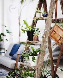 From lh3.googleusercontent.com entdecke rezepte, einrichtungsideen, stilinterpretationen und andere ideen zum ausprobieren. Einrichtungsideen Mit Pflanzen Naturlich Wohnen Ikea Osterreich