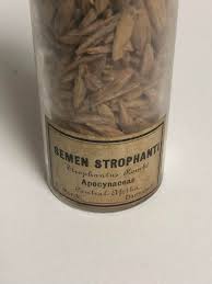 Image result for Strophanthus kombe