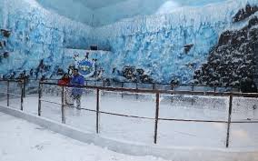 We did not find results for: Snow World Mumbai Whatshot Mumbai