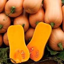 Maybe you would like to learn more about one of these? How To Grow Squash