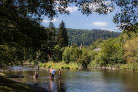 Een natuurcamping, een camping aan de rivier, kamperen bij de boer, een camping in het bos, een kleine camping, camperplaatsen voor wie op doorreis is,. Blog S About Gouvy Experience Belgium