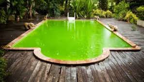 Comment Rattraper L Eau D Une Piscine Verte