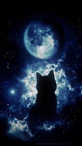 New Mobile Wallpaper Download Free 4k Wallpapers Background Images In 2020 Animal Wallpaper Anime Scenery Landscape Wallpaper Von daher bekommt ihr hier bei uns wohl die besten und schönsten hintergrundbilder der welt. pinterest