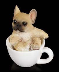 There're quite a lot speculations about actual origins of a french bulldog, but it's quite likely that the breed originated from a miniature or a toy bulldog which is a cross between english bulldogs and terrier. Dog In Cup Mini French Bulldog Puppy Www Figuren Shop De