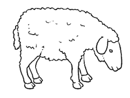 številka