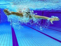 Imagine swimming in a home pool that invites nature in, rather than shutting it out with chemicals. Is It Safe To Go Swimming In The Pool Now Here S What You Should Keep In Mind The Economic Times