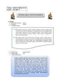 Kunci jawaban pg biologi sma kelas 11 kurikulum 20. Ukbm Bio 3 9 Sistem Ekskresi