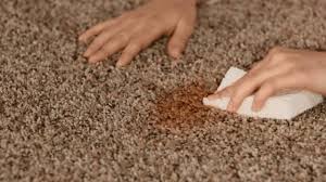 Learn how to remove eye makeup from carpet, so you don't have to panic when drops and spills occur. How To Clean Carpet Like A Pro Better Homes Gardens