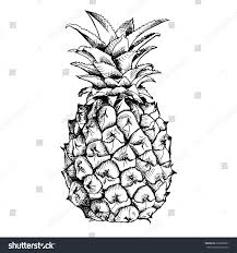 Black And White Illustration Image Of Pineapple Fruit Vector Black And White Illustration Sponsored Spon Fruit Pineapple Imag Fruits Drawing Pineapple Illustration Pineapple Images
