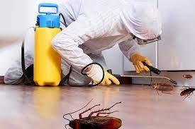 We provide best and affordable pest control services in the toronto gta area. Pros In Control Pest Services Best Bed Bug Extermination Berlin Nj