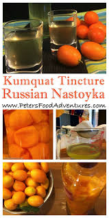 Making A Tincture Is Easy Full Of Essential Oils Anti Oxidants And Vitamins Infused In Russian Vodka Known As Kumquatcello Similar To Limoncello Kumquat