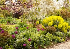 Check spelling or type a new query. Plant Suggestions For A North South East Or West Facing Garden