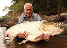 15 Largest River Monster Fish Caught By Jeremy Wade