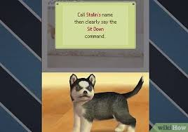 Nintendogs unlockables · stuff only certain dogs get · unlock more breeds (i list all i know) · get more dogs · one dog only · unlockables · unlock milk and canned . How To Unlock All The Dogs On Nintendogs 3 Steps With Pictures