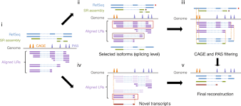 And pest control was my first thought. Single Molecule Long Read Sequencing Reveals A Conserved Intact Long Rna Profile In Sperm Nature Communications