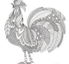 Magnificent rooster coloring pages with chicken coloring pages. 15 Rooster Ideas Rooster Coloring Pages Chicken Coloring