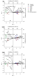 Rice husk biochar wood biochar. Agronomy Free Full Text Effects Of Rice Husk Biochar On Carbon Release And Nutrient Availability In Three Cultivation Age Of Greenhouse Soils Html