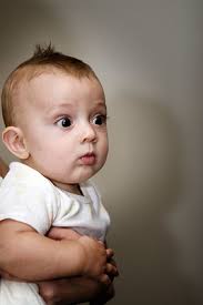 Canon EF 24-70mm f/2.8 L USM