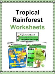 The amazon jungle is the world's largest tropical rainforest. Tropical Rainforest Facts Worksheets Characteristics Location For Kids