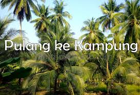 Ada update cerita bergambar tentang aktiviti di bagan lalang pada page aktiviti. Aktiviti Cuti Hujung Minggu Di Kampung Binmuhammad