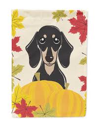 Dachshund stock photos and images. Smooth Black And Tan Dachshund Thanksgiving Flag Canvas House Size Fruugo Lu