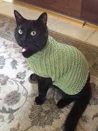 ··· product name free knitting & crochet pattern modern vintage smocked baby sweater cardigan style no. Ravelry Ultimate Cat Jumper Pattern By Mandy Cilento Cat Sweater Pattern Knitted Cat Cat Sweater Knitting Pattern