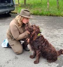 Image result for německý křepelák postava