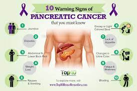 It's also hidden behind other organs including the stomach, small intestine, liver, gallbladder, spleen and bile ducts. November 19th World Pancreatic Cancer Day Unicamillus