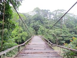 Check spelling or type a new query. Cascadas Fin Del Mundo Kahuari Travel