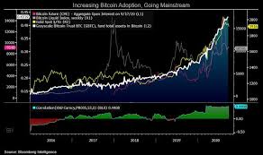 The value of bitcoin comes down to basic economics: Bitcoin On Track For 100 000 In 2025 Historical Growth Guides Bloomberg Professional Services