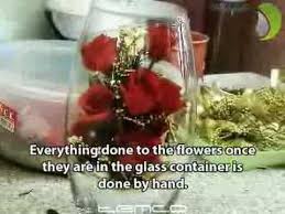 Maybe you would like to learn more about one of these? Real Flowers In Glass Youtube