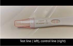 The beta hcg levels are also measured using a test known as quantitative hcg testing. Pregnancy Test Wikipedia