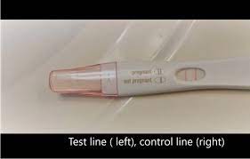 Any hcg concentration less than that level will show a negative result. Pregnancy Test Wikipedia