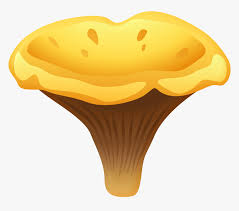 Browse 3,143 mushroom cloud stock photos and images available, or search for atomic bomb or nuclear bomb to find more great stock photos and pictures. Transparent Mushroom Cloud Clipart Chanterelle Mushrooms Png Png Download Transparent Png Image Pngitem