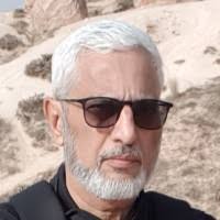 200+ "Dhesi" profiles