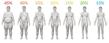 Body Fat Percentage Charts The Real Deal Guide
