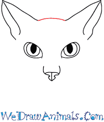 To make softer, broader strokes, hold the charcoal on its side and drag it across your paper. How To Draw A Cat Face