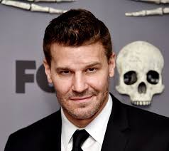David Boreanaz Net Worth